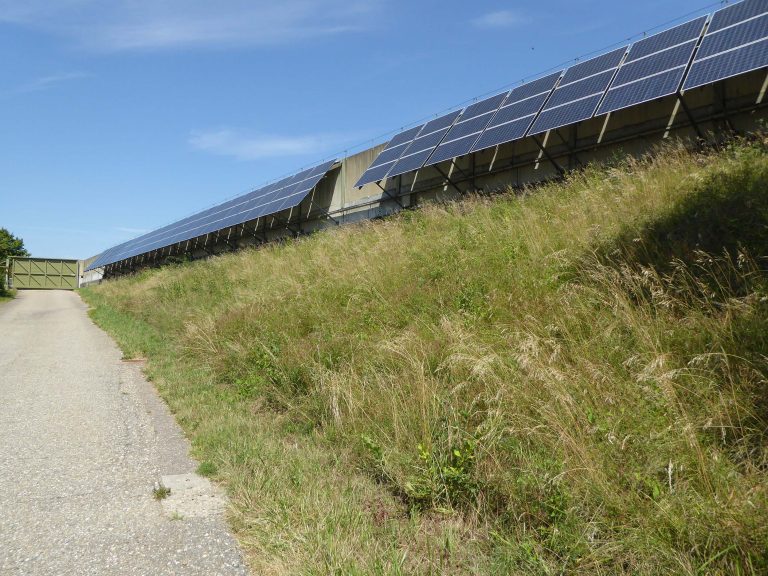 Ein Solarpark im Grünen